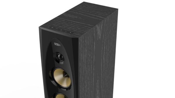 F&D T-60X Pro Peak Power 240 W Bluetooth Tower Speaker