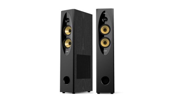 F&D T-60X Pro Peak Power 240 W Bluetooth Tower Speaker